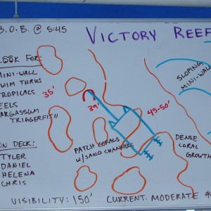 Dive Briefing Victory Reef - Nekton to Cay Sal Bank