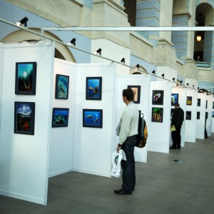 Golden Dolphin Moscow Dive Show