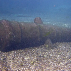 Cannon in the Training Area