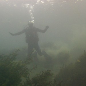 Diver in the Weeds