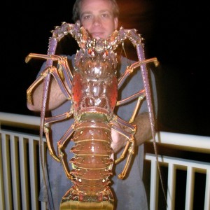 night lobster