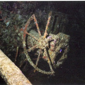 WRECK OF THE HILMA HOOKER--BONAIRE 2007