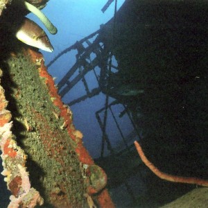 WRECK OF THE HILMA HOOKER--BONAIRE 2007