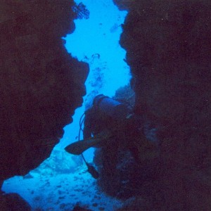 Cozumel diving