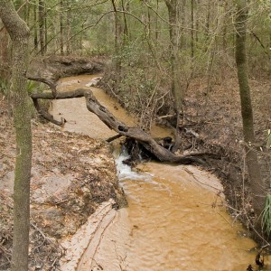 CreekRun278774