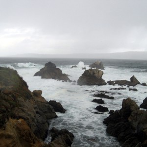 Pt Lobos conditions upon arrival