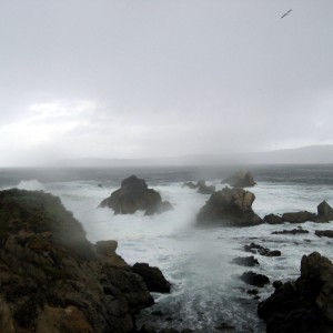 Pt Lobos conditions upon arrival