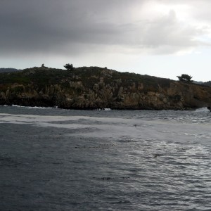 Pt Lobos conditions upon arrival