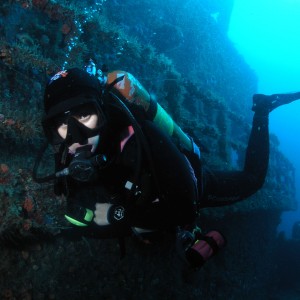 Boynton Diving