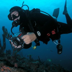 Boynton Diving