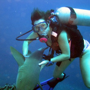 Bean with Nurse shark