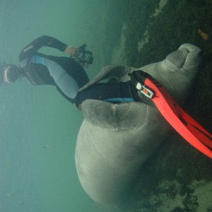 Homosassa River