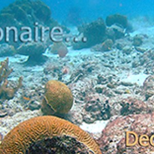 Bonaire_12_07