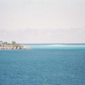 Bora_Bora_Bungalows_2