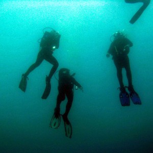 Ascending Divers