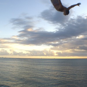 Sunset Oahu Pier