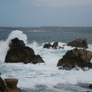 Point_Lobos_Scenery_9_