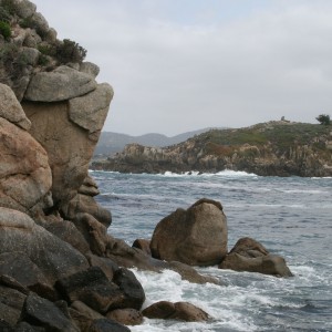 Point_Lobos_Scenery