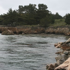 Point_Lobos_Scenery_1_