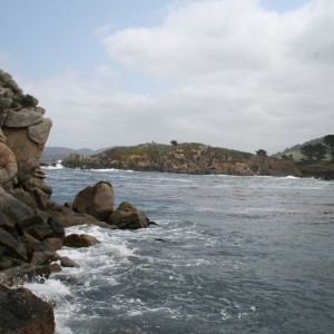 Point_Lobos_Scenery_2_