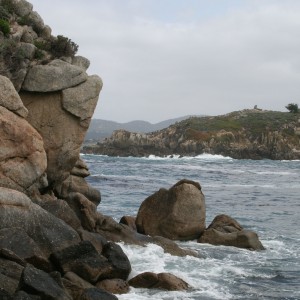 Point_Lobos_Scenery1