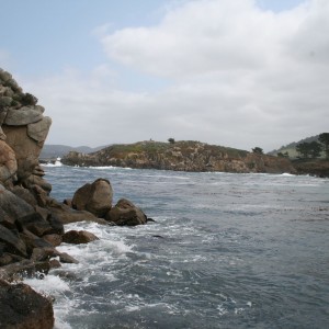 Point_Lobos_Scenery_2_1