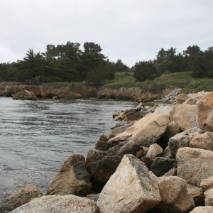 Point_Lobos_Scenery_3_