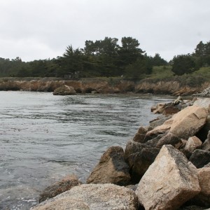 Point_Lobos_Scenery_4_