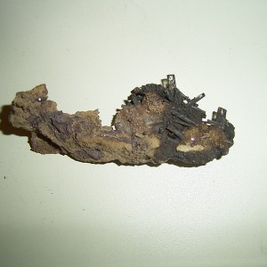 Rock Lake Specimen