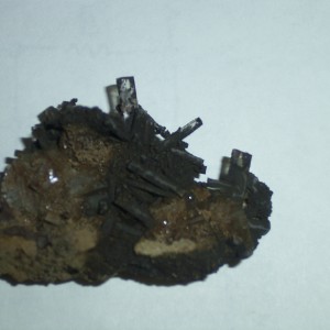 Rock Lake Specimen