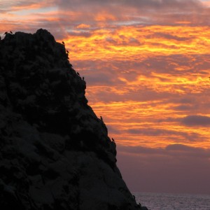 Roca Partida sunrise