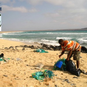 Beach clean up! www.turtlesos.org