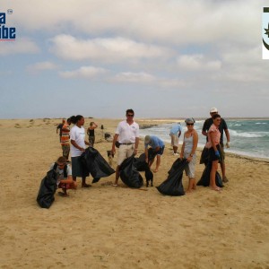 Beach clean up! www.turtlesos.org