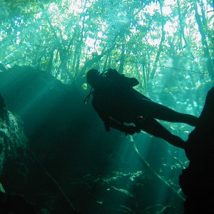 Mexico Cenote diving