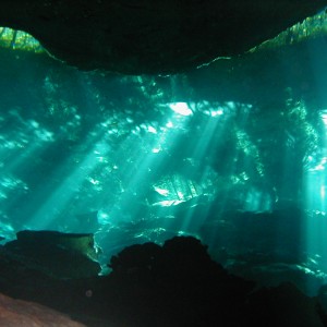 Mexico Cenote diving