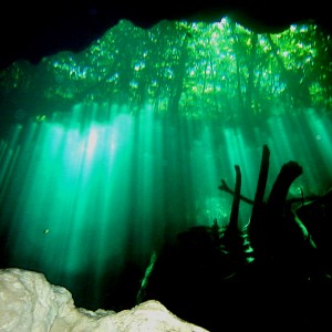 Mexico Cenote diving