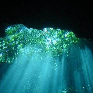 Mexico Cenote diving