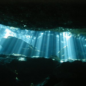 Mexico Cenote diving