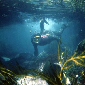 Southeren Indian Ocean - Marion Island