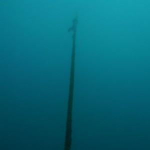 Mooring Line from HMNZS Waikato