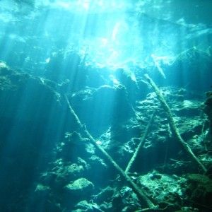 Cave Dives in Mexico (near Cancun) -- Feb 2008