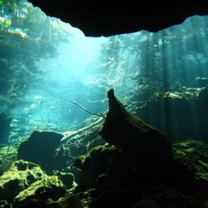 Cave Dives in Mexico (near Cancun) -- Feb 2008