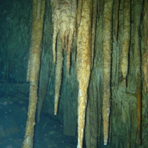 Cave Dives in Mexico (near Cancun) -- Feb 2008