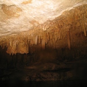 Cave Dives in Mexico (near Cancun) -- Feb 2008