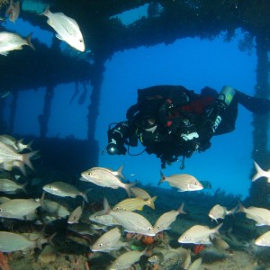 Howard Packer on the Wreck of the Tracy