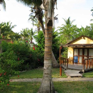 Palmeiras Chalet