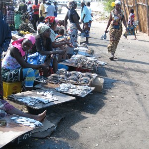 Fish market