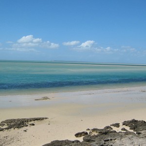 Low tide