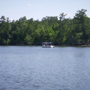 Pontoon boat on Cooper River