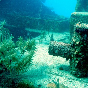 Fantasy Island Roatan Shore Dive